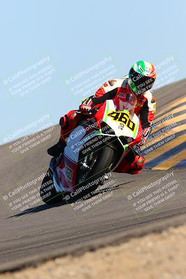 media/Feb-12-2022-SoCal Trackdays (Sat) [[3b21b94a56]]/Turn 12 (140pm)/